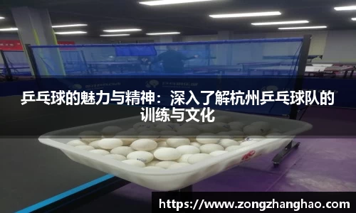 乒乓球的魅力与精神：深入了解杭州乒乓球队的训练与文化